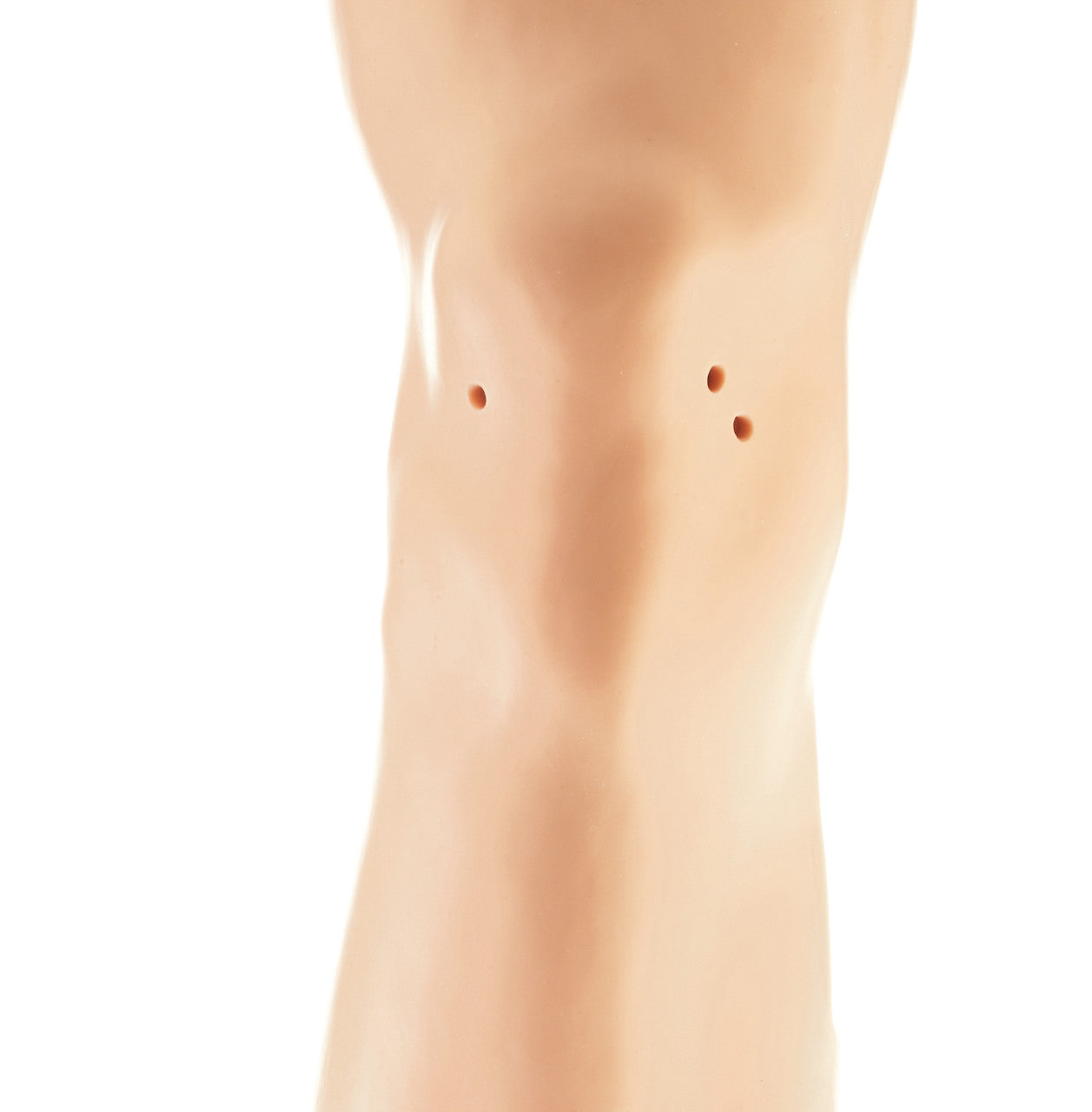 Arthroscopy Model of the Knee-Joint