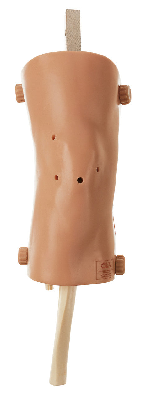 Arthroscopy Model of the Knee-Joint