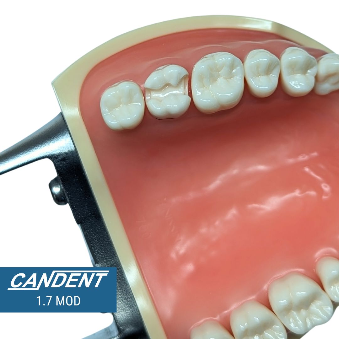 700 Series Practice Preps