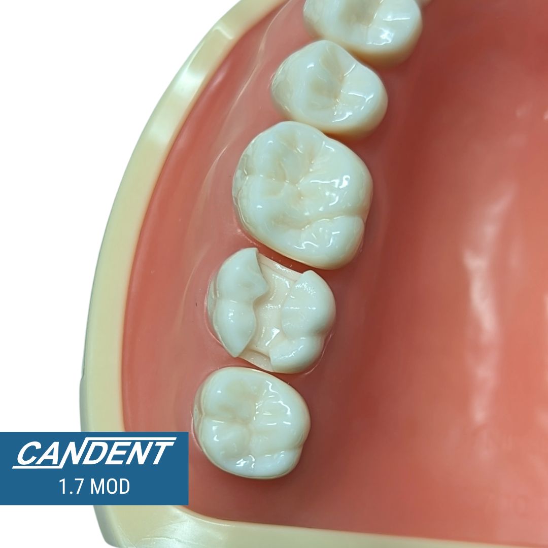 700 Series Practice Preps