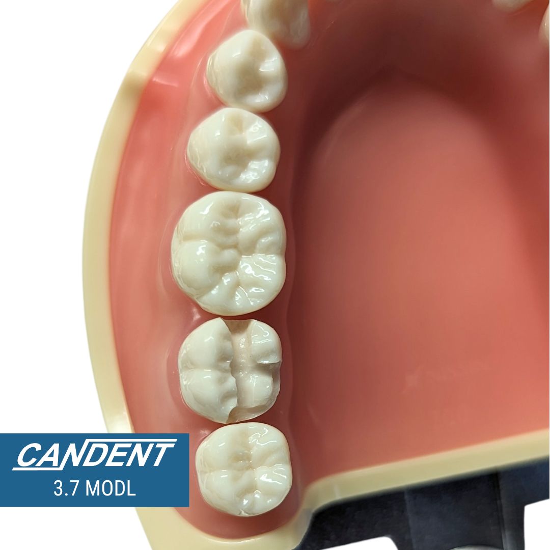 700 Series Practice Preps