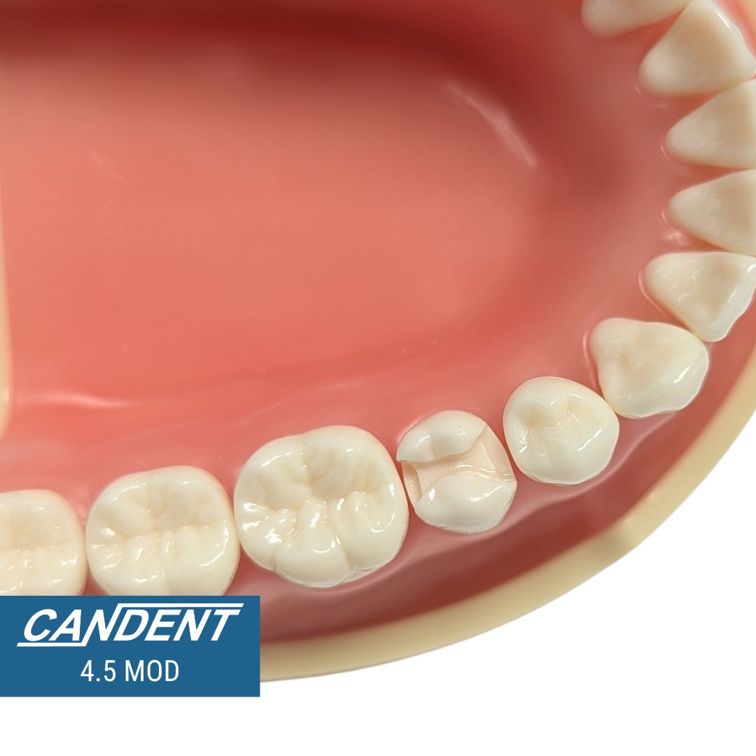 700 Series Practice Preps