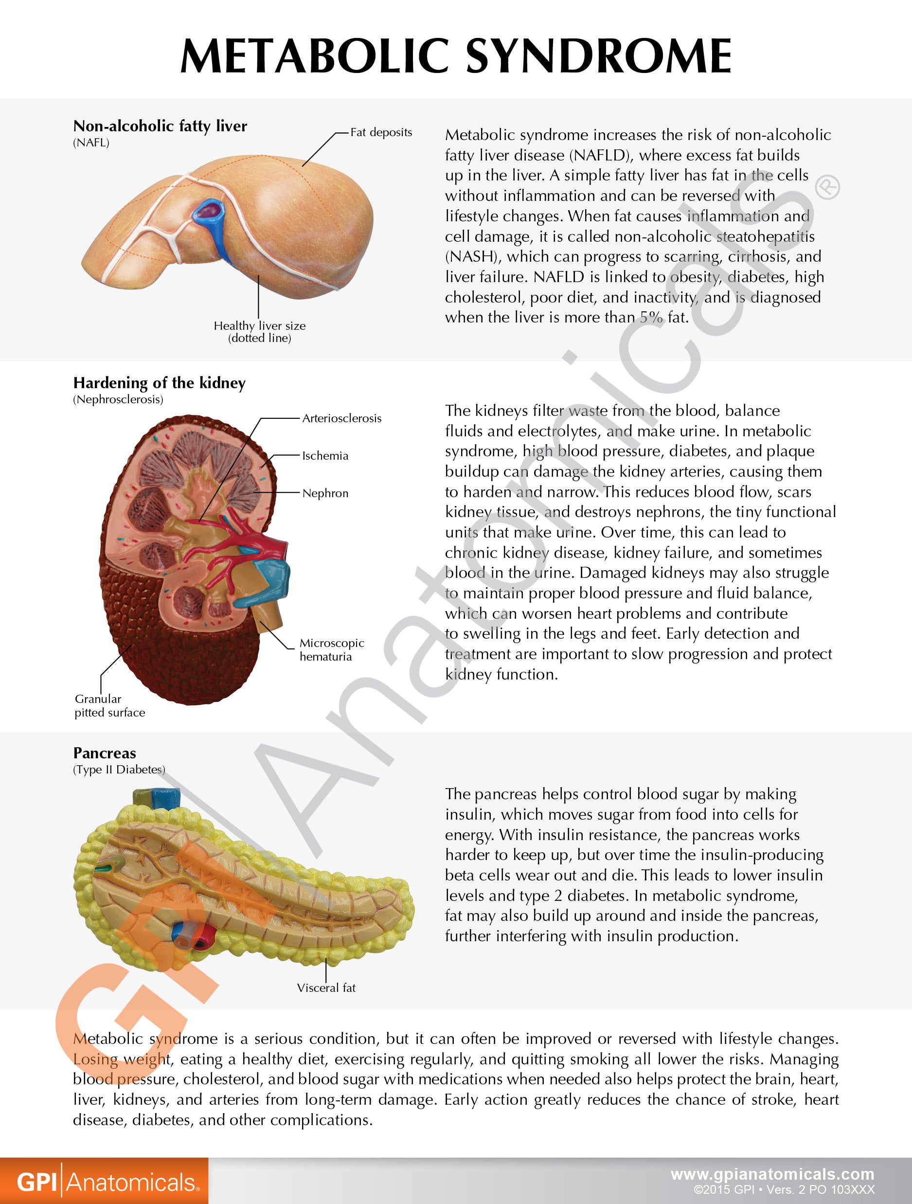 Metabolic Syndrome Set (6x)