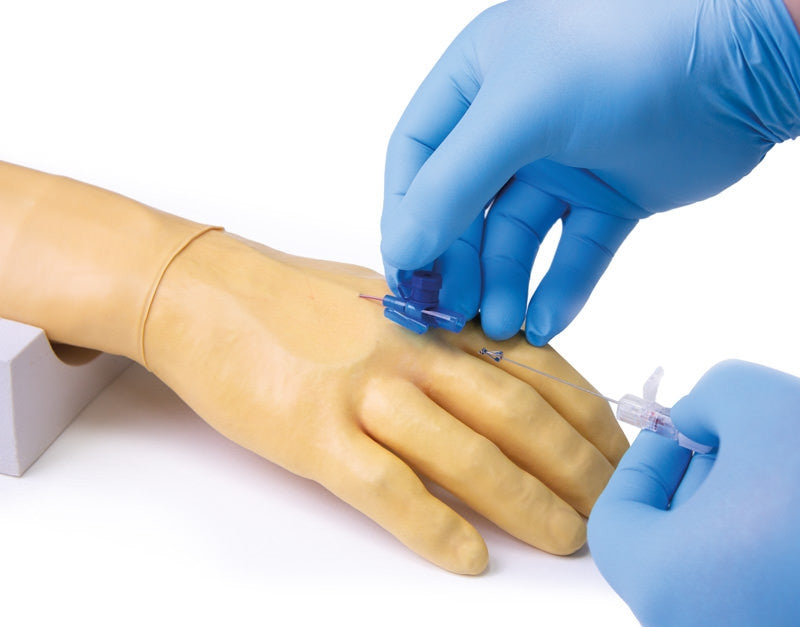 Training arm for intravenous injection and infusion | Erler-Zimmer 7010