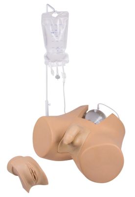 Catheterization trainer with male genital insert "Henri" and female genital insert "Florence"