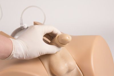 Catheterization trainer with male genital insert "Henri" and female genital insert "Florence"