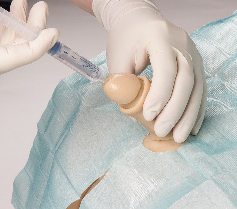 Catheterization trainer with male genital insert "Henri" and female genital insert "Florence" | Erler-Zimmer 7030