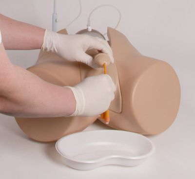 Catheterization trainer with male genital insert "Henri" and female genital insert "Florence"