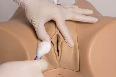 Catheterization trainer with male genital insert "Henri" and female genital insert "Florence"