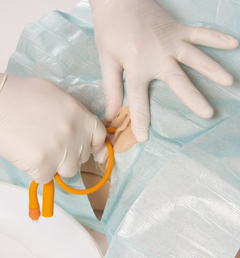 Catheterization trainer with male genital insert "Henri" and female genital insert "Florence" | Erler-Zimmer 7030