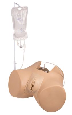 Bladder Catheterization Simulator Florence, female