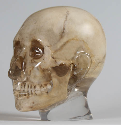 X-ray phantom head, transparent