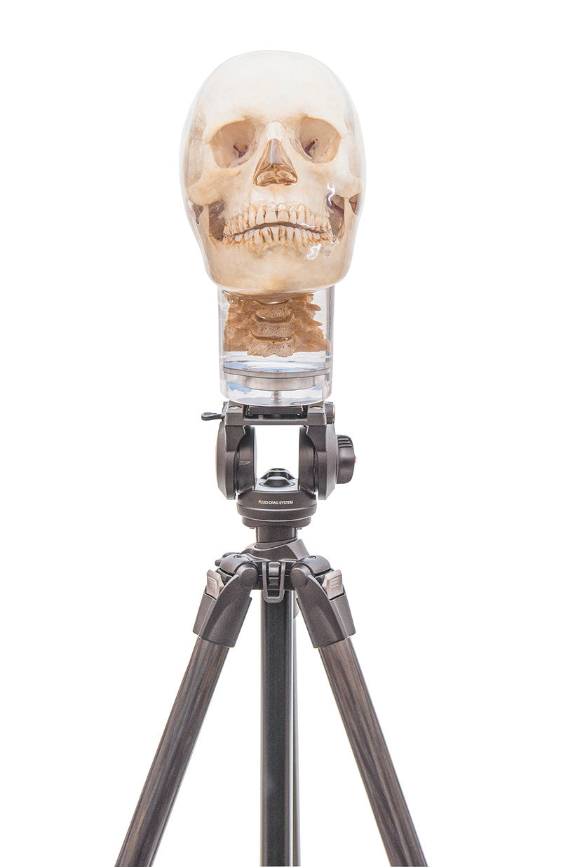 Tripod for x-ray phantom head