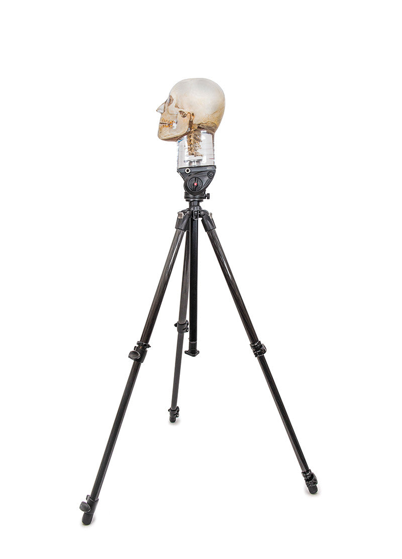Tripod for x-ray phantom head
