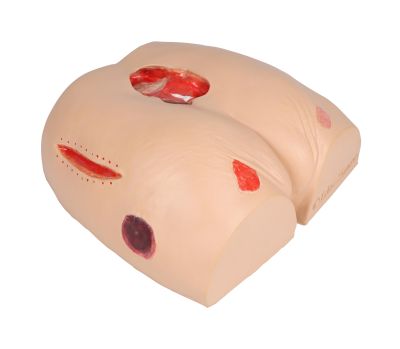Decubitus Dan care and dressing simulator