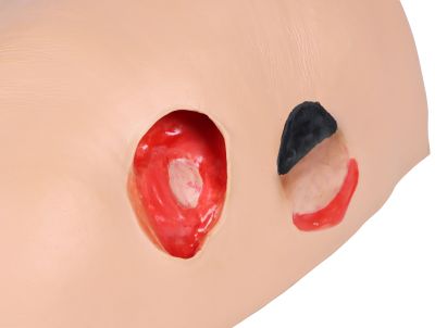 Decubitus Dan care and dressing simulator