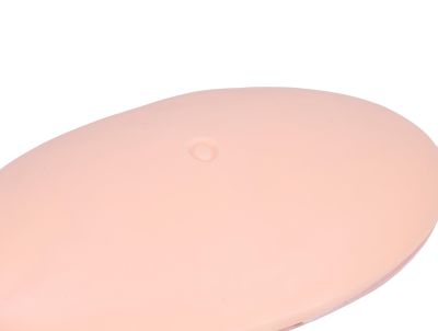 Diabetes Belly Training Model