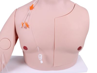 Vascular Victor - Port and CVC Trainer