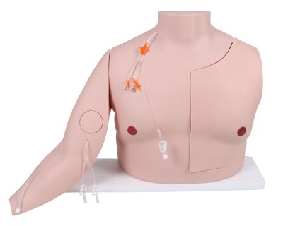 Vascular Victor - Port and CVC Trainer