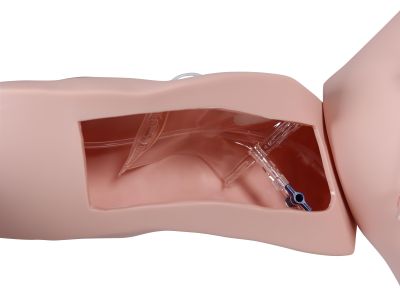 Vascular Victor - Port and CVC Trainer
