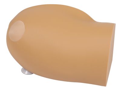 Amy Arm intraosseous task trainer