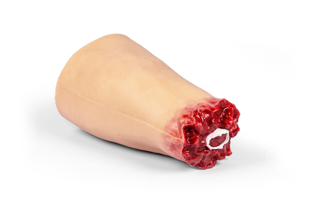 Tourniquet Trainer "Amputated Andy" | Erler-Zimmer 7860
