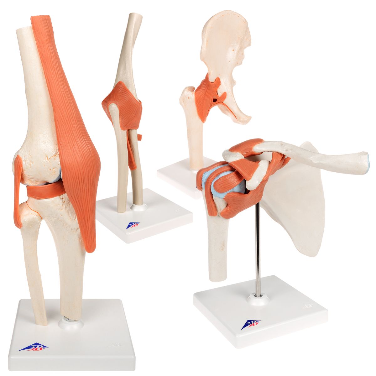Set of Deluxe Functional Joints
