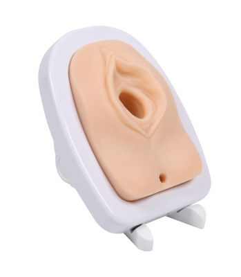Episiotomy Simulator - Erler-Zimmer 8020, view 2