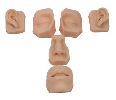 Face parts for suture training(6pcs) - Erler-Zimmer 8025