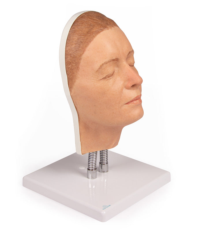 Head for facial injections, version A | Erler-Zimmer 8100