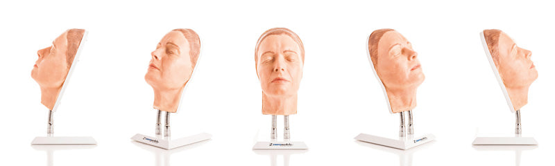 Head for facial injections, version A | Erler-Zimmer 8100