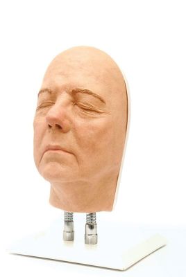 Head for facial injections, version B - Erler-Zimmer 8110