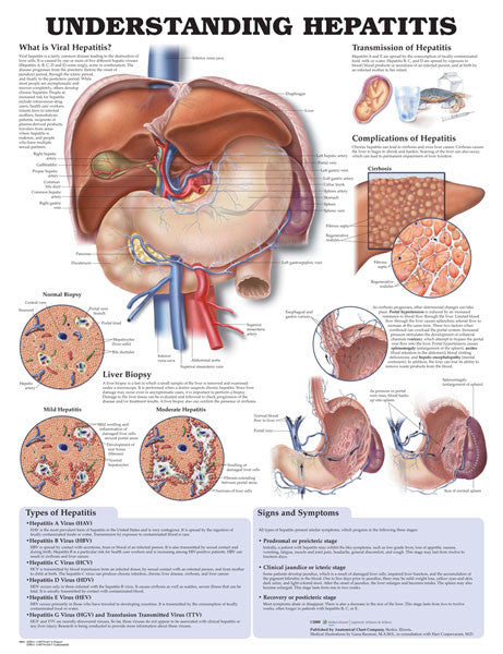 9781587794179-hepatitis__82454.1589753372.1280.1280.jpg