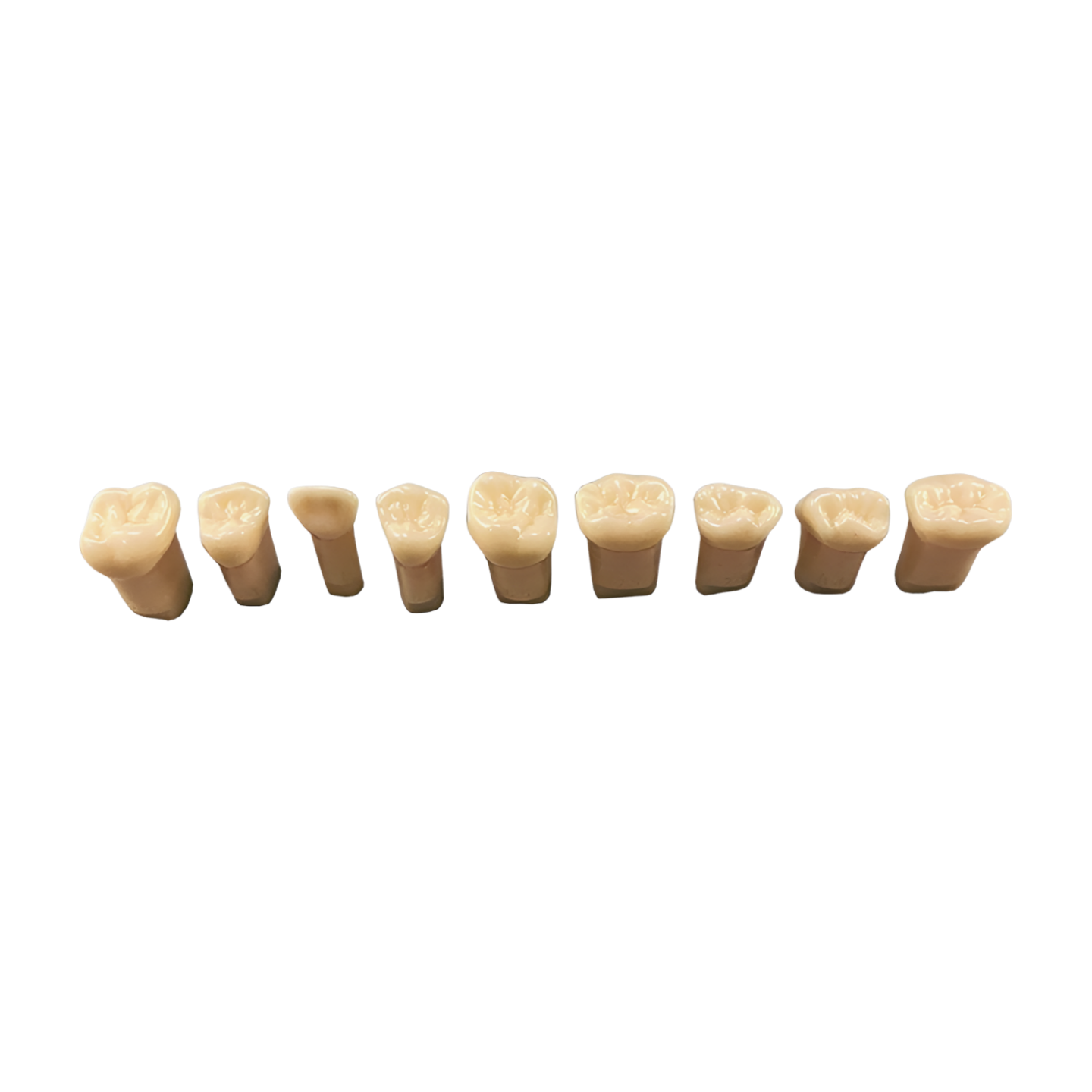 A12-920 – Endo Practice