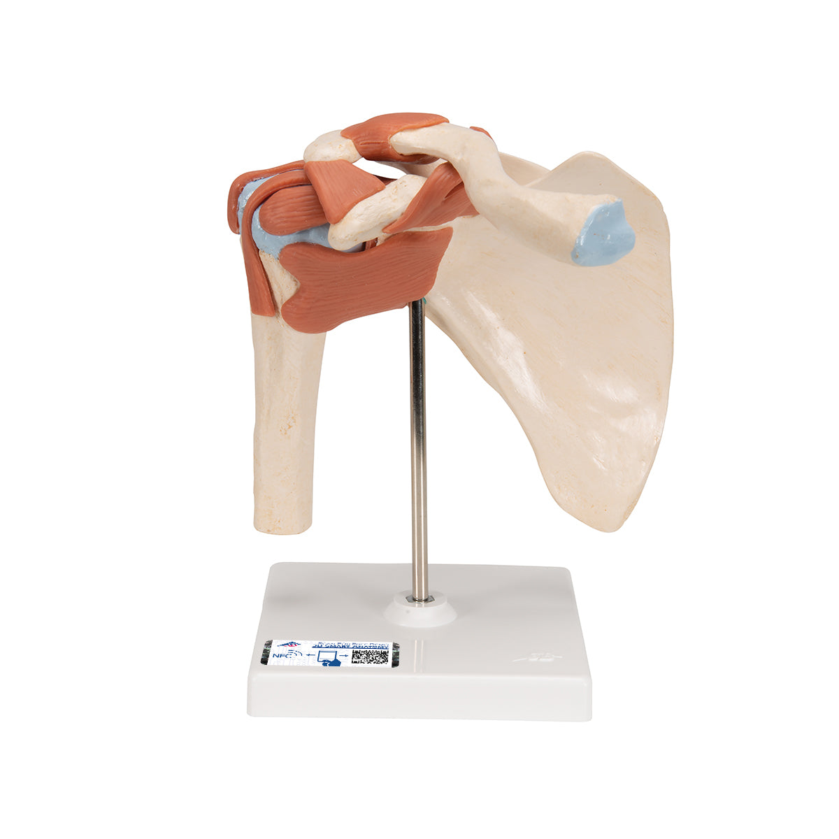 Set of Deluxe Functional Joints