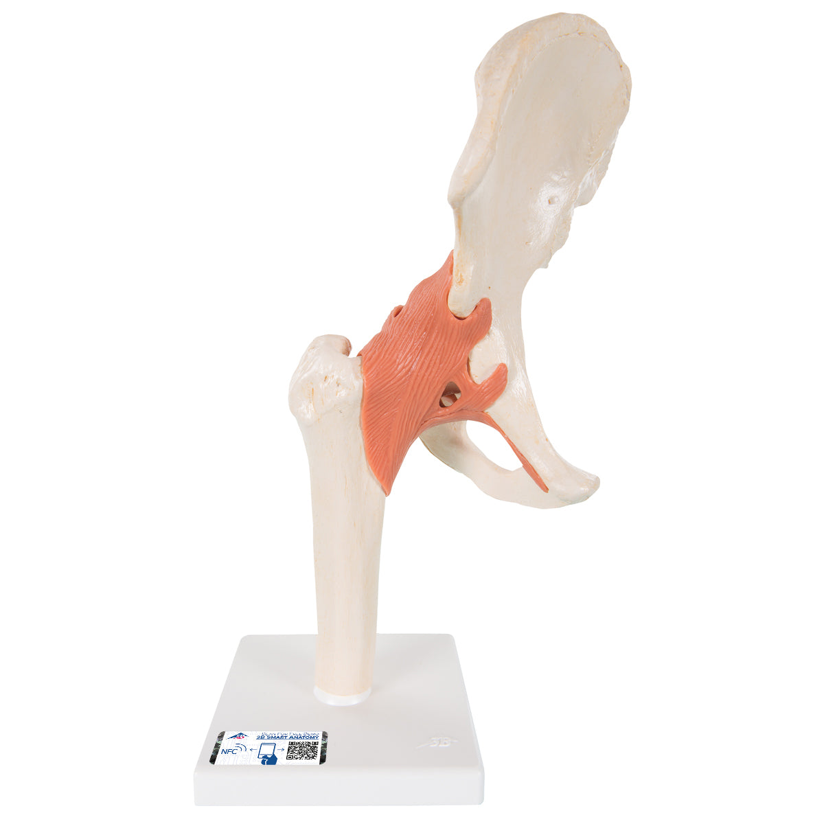 Set of Deluxe Functional Joints