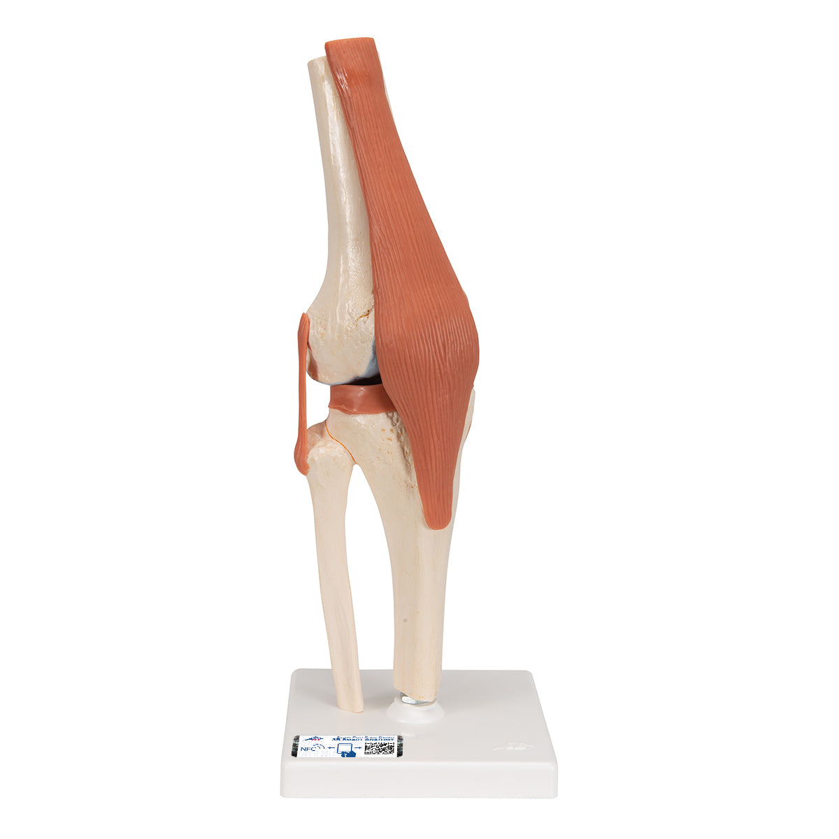 Set of Deluxe Functional Joints