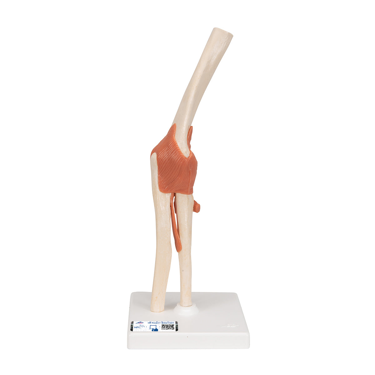 Set of Deluxe Functional Joints