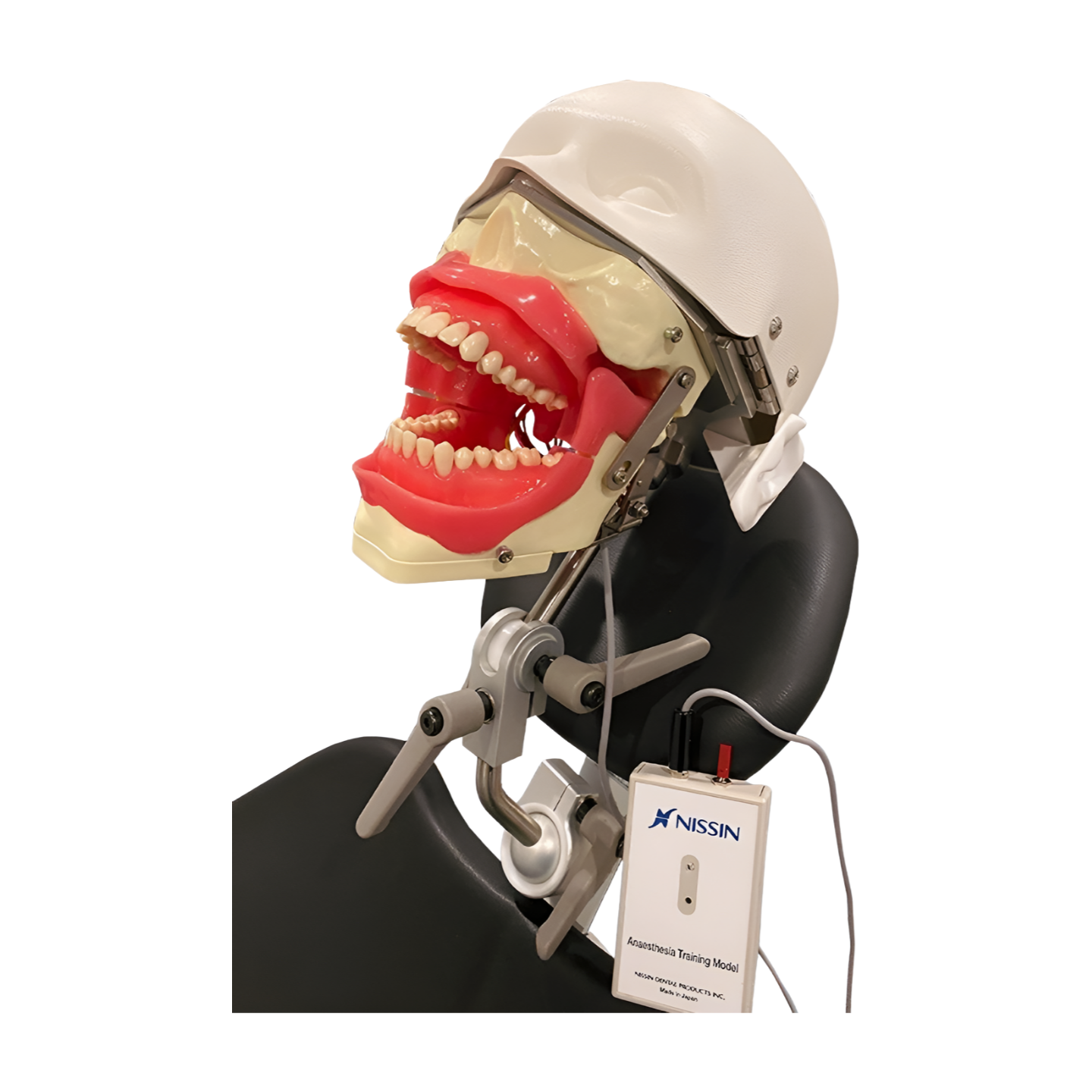 Anesthesia Manikin (Full System)