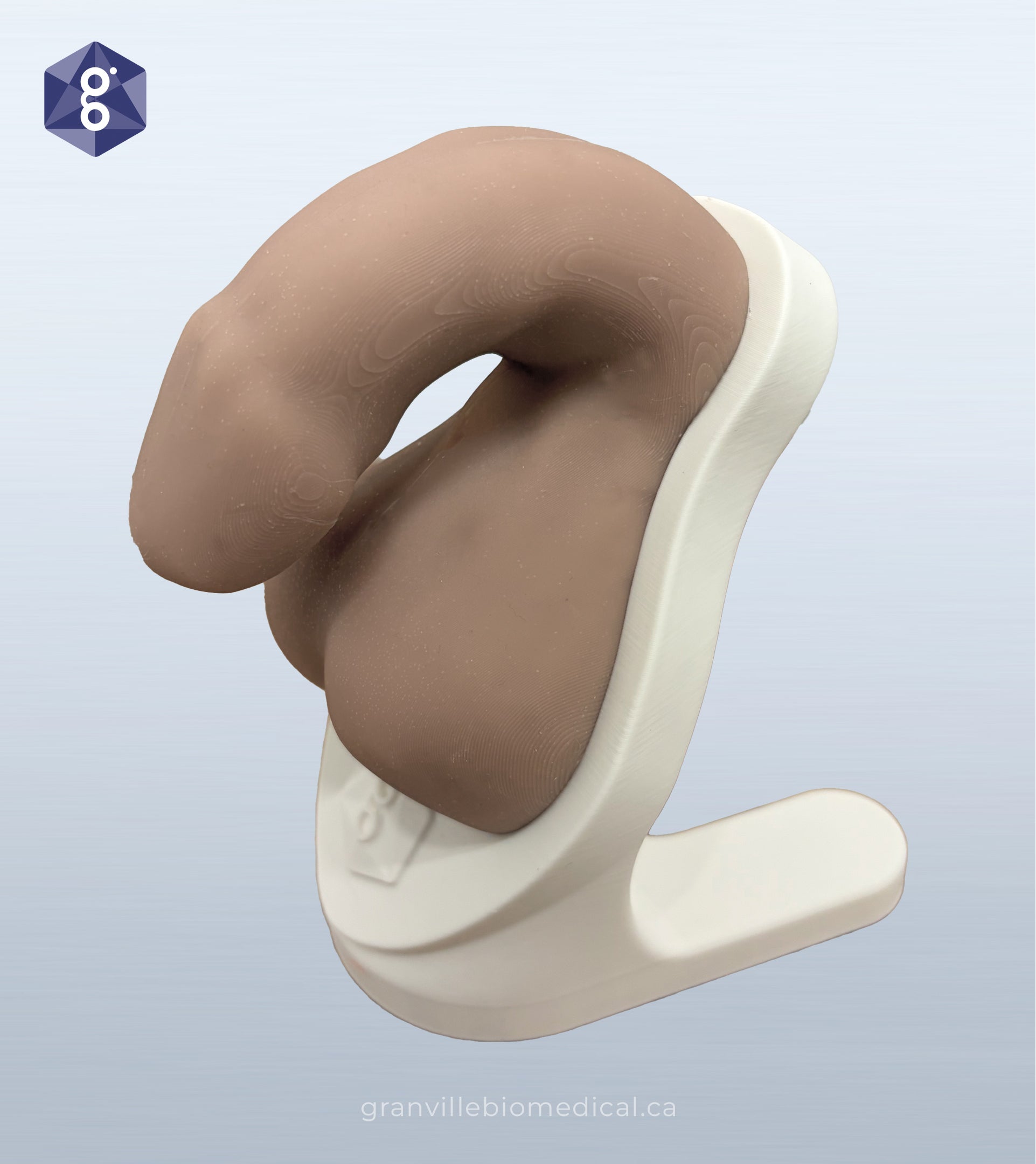 Atlas men's health model in light skin tone, side view