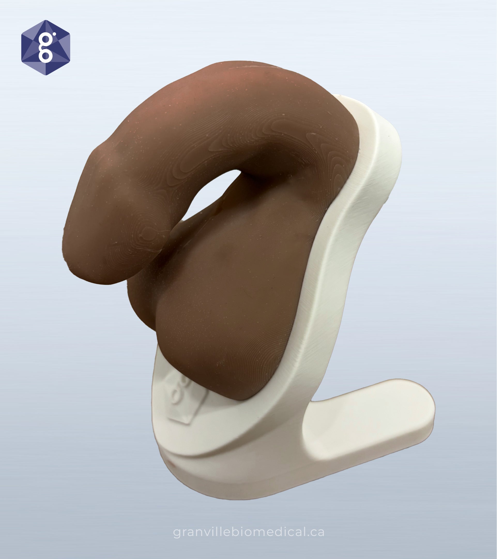 Atlas men's health model in medium skin tone, side view