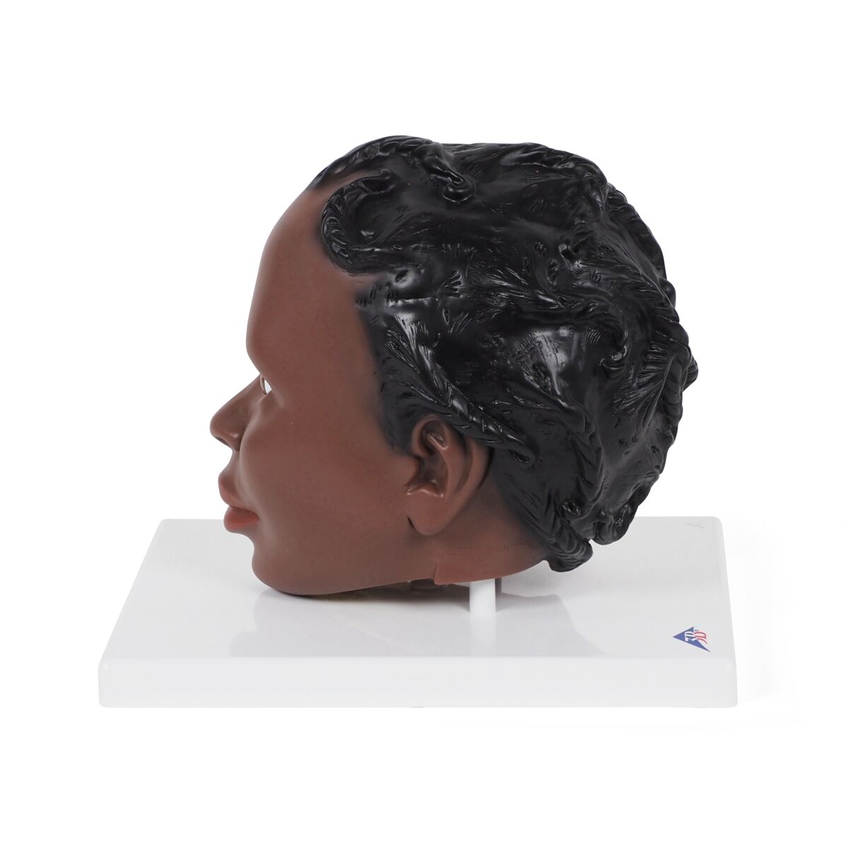 Head Model, 2-part dark skin