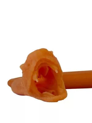 Endotracheal intubation of the snake