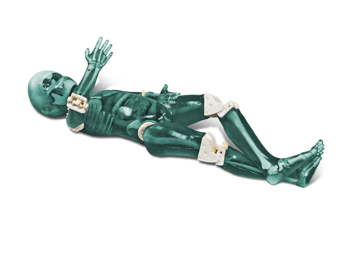 Pediatric Full Body for X-Ray CT, US - Erler-Zimmer FLP02