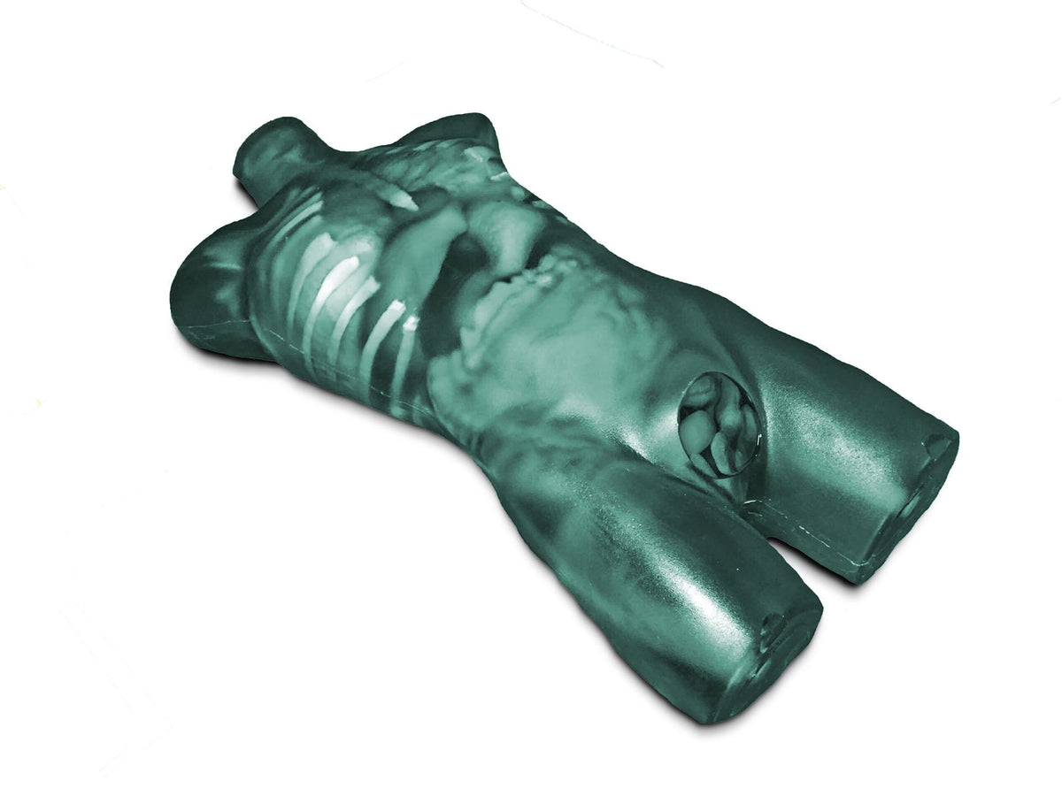 Adult Torso for X-Ray CT and US - Erler-Zimmer FLU02