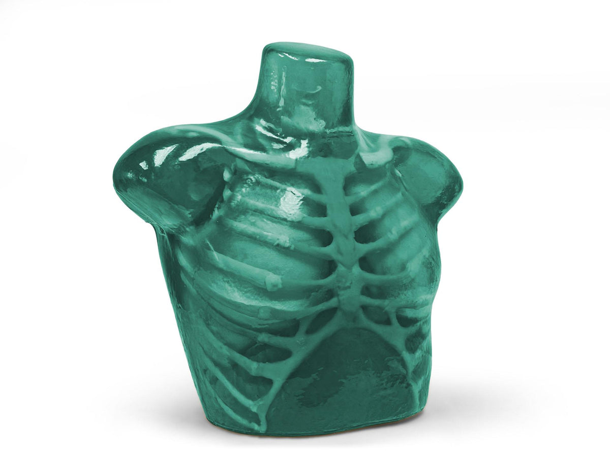 Adult Thorax for X-Ray CT and US - Erler-Zimmer FLX02