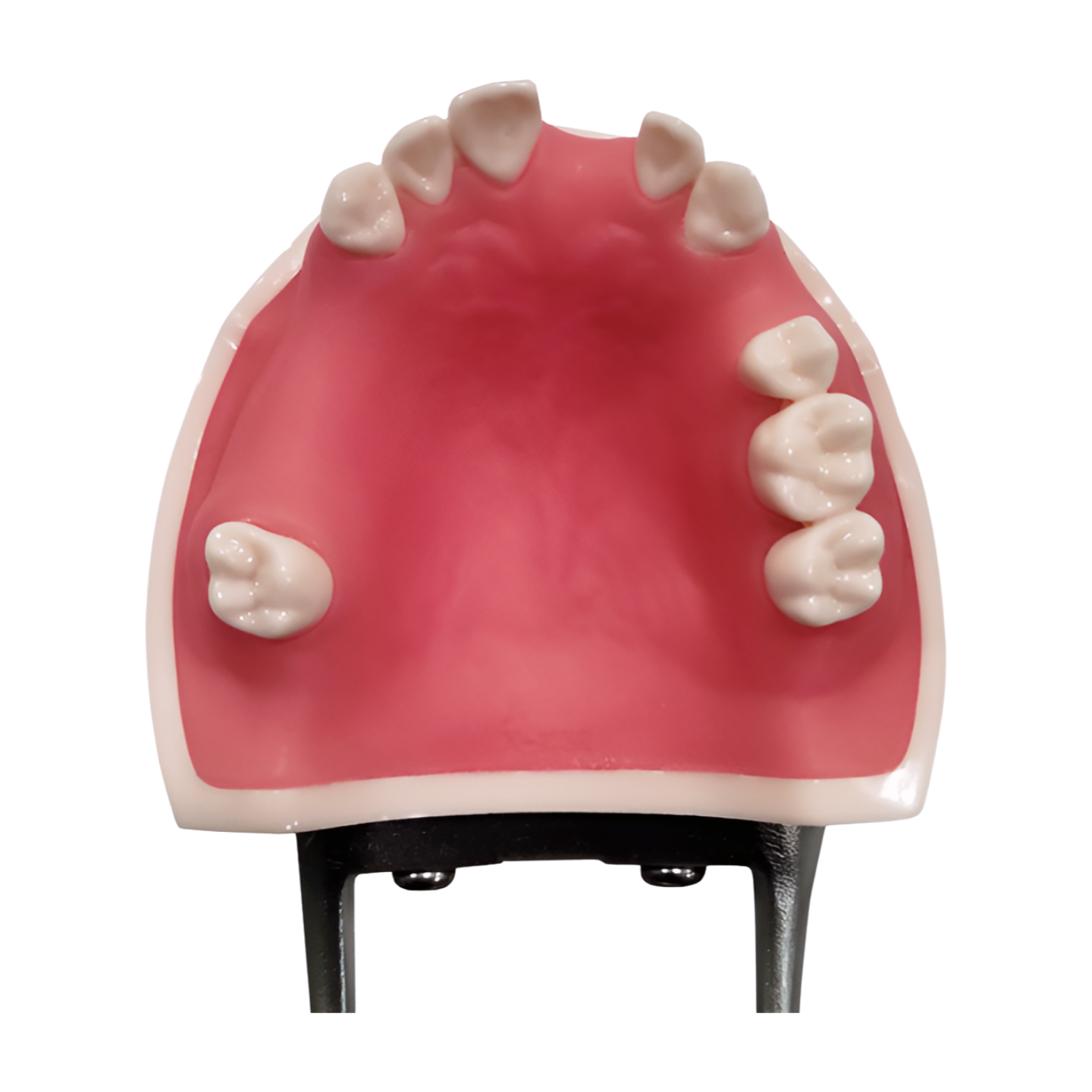 IMP1034 – Implant Practice - Kilgore / Nissin IMP1034, view 3