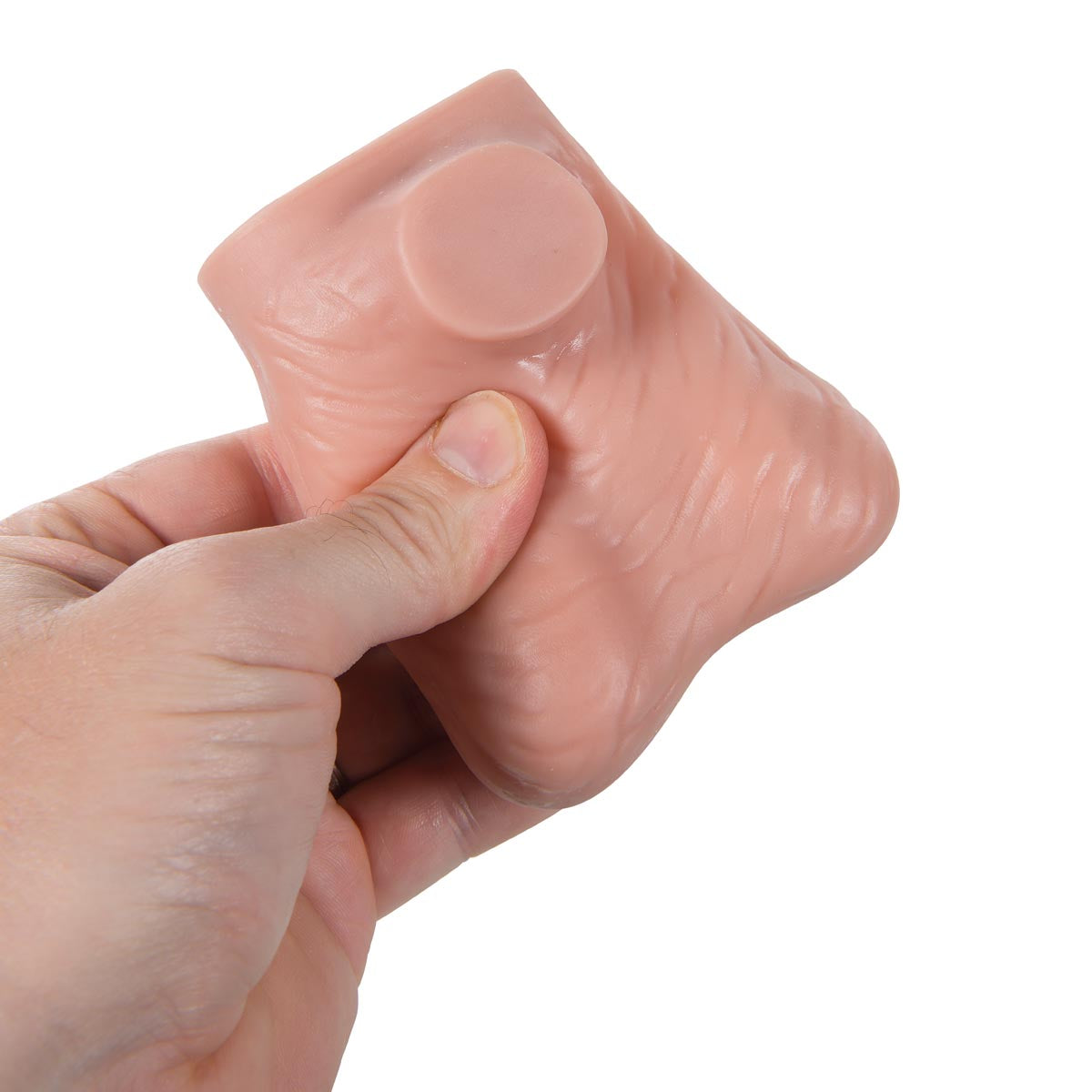 Testicle Model, Light Skin