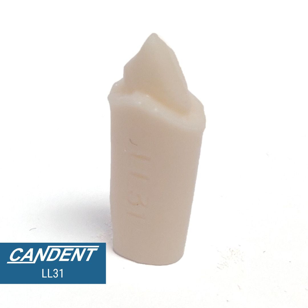 200 Series Pre-prepared Teeth