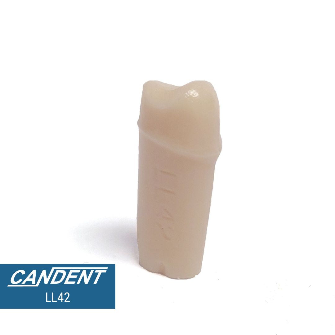 200 Series Pre-prepared Teeth